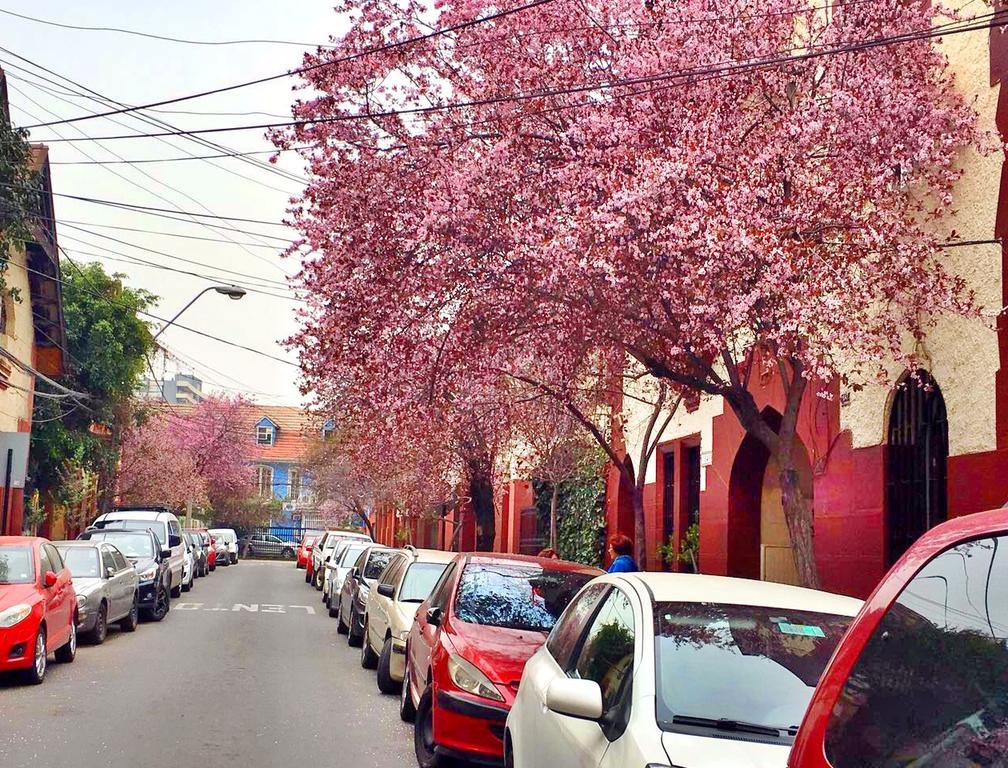 Tralkan B&B Santiago Buitenkant foto