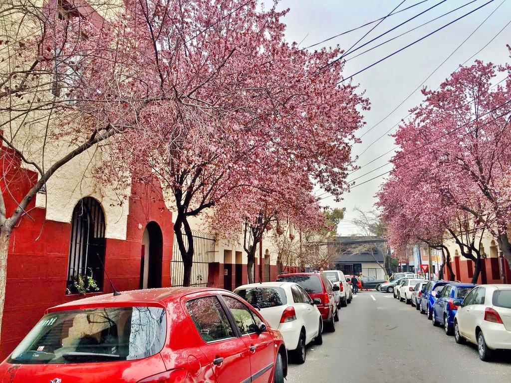 Tralkan B&B Santiago Buitenkant foto